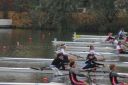 Filename=IMG_7314.jpg
Filesize=201KiB
Dimensions=1500x1000
Date added=Oct 30, 2022 IMG_7314.jpg