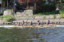 Filename=IMG_5491.jpg
Filesize=225KiB
Dimensions=1200x800
Date added=May 12, 2021 IMG_5491.jpg