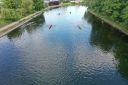 Filename=2023-05-30___16_44_44DJI_0156.jpg
Filesize=349KiB
Dimensions=1500x1000
Date added=May 31, 2023 2023-05-30___16_44_44DJI_0156.jpg