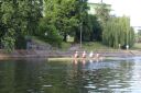 Filename=IMG_4221.jpg
Filesize=266KiB
Dimensions=1400x933
Date added=Jun 07, 2023 IMG_4221.jpg