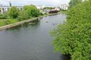 Filename=DJI_0743.jpg
Filesize=236KiB
Dimensions=1200x800
Date added=May 25, 2021 DJI_0743.jpg