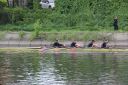 Filename=IMG_5780.jpg
Filesize=229KiB
Dimensions=1200x800
Date added=May 25, 2021 IMG_5780.jpg