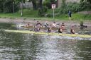 Filename=IMG_5792.jpg
Filesize=233KiB
Dimensions=1200x800
Date added=May 25, 2021 IMG_5792.jpg