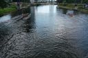 Filename=DJI_0042.jpg
Filesize=281KiB
Dimensions=1200x800
Date added=Jun 08, 2021 DJI_0042.jpg