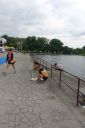 Filename=DSC04655.jpg
Filesize=376KiB
Dimensions=1200x1800
Date added=Jun 12, 2021 DSC04655.jpg