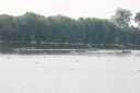Filename=IMG_2400.jpg
Filesize=127KiB
Dimensions=1200x799
Date added=Jul 25, 2021 IMG_2400.jpg