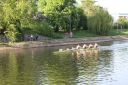 Filename=IMG_1574.jpg
Filesize=327KiB
Dimensions=1500x1000
Date added=May 10, 2022 IMG_1574.jpg