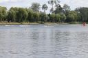 Filename=IMG_4430.jpg
Filesize=237KiB
Dimensions=1280x852
Date added=Jul 17, 2022 IMG_4430.jpg