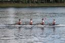 Filename=IMG_4440.jpg
Filesize=269KiB
Dimensions=1280x852
Date added=Jul 17, 2022 IMG_4440.jpg