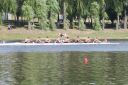 Filename=IMG_4494.jpg
Filesize=214KiB
Dimensions=1280x852
Date added=Jul 17, 2022 IMG_4494.jpg