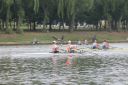 Filename=IMG_4614.jpg
Filesize=243KiB
Dimensions=1500x999
Date added=Jul 24, 2022 IMG_4614.jpg