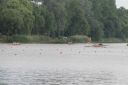Filename=IMG_4669.jpg
Filesize=226KiB
Dimensions=1500x999
Date added=Jul 24, 2022 IMG_4669.jpg