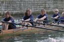 Filename=1635_IMG_0184.JPG
Filesize=559KiB
Dimensions=1000x667
Date added=Jun 11, 2014 1635_IMG_0184.JPG