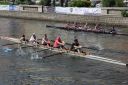 Filename=IMG_1102.JPG
Filesize=872KiB
Dimensions=1200x800
Date added=Jun 21, 2017 IMG_1102.JPG