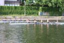 IMG_5242.JPG