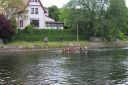 Filename=IMG_1818.jpg
Filesize=372KiB
Dimensions=1500x1000
Date added=May 24, 2022 IMG_1818.jpg