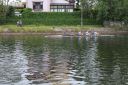 Filename=IMG_1825.jpg
Filesize=370KiB
Dimensions=1500x1000
Date added=May 24, 2022 IMG_1825.jpg
