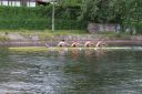 Filename=IMG_1907.jpg
Filesize=284KiB
Dimensions=1500x1000
Date added=May 24, 2022 IMG_1907.jpg