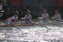 Filename=1648_IMG_0255.JPG
Filesize=652KiB
Dimensions=1000x667
Date added=Jun 11, 2014 1648_IMG_0255.JPG