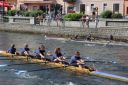 Filename=1705_IMG_0287.JPG
Filesize=656KiB
Dimensions=1000x667
Date added=Jun 11, 2014 1705_IMG_0287.JPG