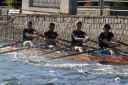 Filename=1747_IMG_0406.JPG
Filesize=608KiB
Dimensions=1000x667
Date added=Jun 11, 2014 1747_IMG_0406.JPG