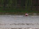 Filename=P6285500.JPG
Filesize=164KiB
Dimensions=1000x750
Date added=Jun 30, 2014 P6285500.JPG