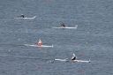 Filename=IMG_0345.jpg
Filesize=215KiB
Dimensions=1280x852
Date added=May 02, 2016 IMG_0345.jpg