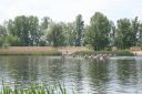 Nazwa pliku=1100_IMG_0280.JPG
Wielkość pliku=240KiB
Rozmiar=1500x1000
Data dodania= %24, %206 %2016 1100_IMG_0280.JPG