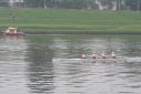 Nazwa pliku=20160917092556_IMG_1371.JPG
Wielkość pliku=237KiB
Rozmiar=1500x1000
Data dodania= %29, %765 %2016 20160917092556_IMG_1371.JPG