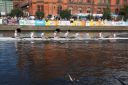 Nazwa pliku=20160924141106_IMG_6942.JPG
Wielkość pliku=384KiB
Rozmiar=1500x1000
Data dodania= %25, %767 %2016 20160924141106_IMG_6942.JPG