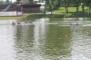 Nazwa pliku=2018-07-22___12_12_50image014.jpg
Wielkość pliku=347KiB
Rozmiar=1200x799
Data dodania= %22, %730 %2018 2018-07-22___12_12_50image014.jpg