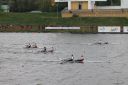 Nazwa pliku=2019-04-27___14_22_22image025.jpg
Wielkość pliku=391KiB
Rozmiar=1200x799
Data dodania= %01, %796 %2019 2019-04-27___14_22_22image025.jpg