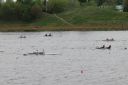 Nazwa pliku=2019-04-27___16_22_24image059.jpg
Wielkość pliku=390KiB
Rozmiar=1200x799
Data dodania= %01, %796 %2019 2019-04-27___16_22_24image059.jpg