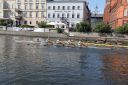 Nazwa pliku=2019-06-25___17_10_14image084.jpg
Wielkość pliku=515KiB
Rozmiar=1200x800
Data dodania= %25, %846 %2019 2019-06-25___17_10_14image084.jpg