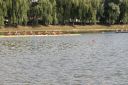 Nazwa pliku=2019-07-28___16_29_22image053.jpg
Wielkość pliku=461KiB
Rozmiar=1200x799
Data dodania= %28, %812 %2019 2019-07-28___16_29_22image053.jpg
