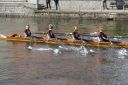 Filename=IMG_0576.jpg
Filesize=159KiB
Dimensions=1280x852
Date added=May 14, 2016 IMG_0576.jpg