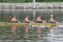 Filename=IMG_0596.jpg
Filesize=202KiB
Dimensions=1280x852
Date added=May 14, 2016 IMG_0596.jpg