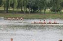 Nazwa pliku=IMG_1449.JPG
Wielkość pliku=745KiB
Rozmiar=1200x799
Data dodania= %25, %746 %2017 IMG_1449.JPG