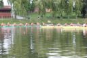 Nazwa pliku=IMG_1736.JPG
Wielkość pliku=344KiB
Rozmiar=2048x1363
Data dodania= %16, %725 %2017 IMG_1736.JPG