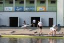 Filename=IMG_3254.jpg
Filesize=238KiB
Dimensions=1000x666
Date added=May 13, 2018 IMG_3254.jpg