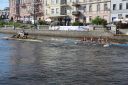 Nazwa pliku=IMG_8928.jpg
Wielkość pliku=356KiB
Rozmiar=1000x667
Data dodania= %08, %779 %2018 IMG_8928.jpg