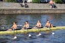 Filename=IMG_8956.jpg
Filesize=354KiB
Dimensions=1000x667
Date added=May 08, 2018 IMG_8956.jpg